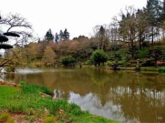 149 PARC ORIENTAL DE MAULEVIER MAINE ET LOIRE 2016 N2_000011